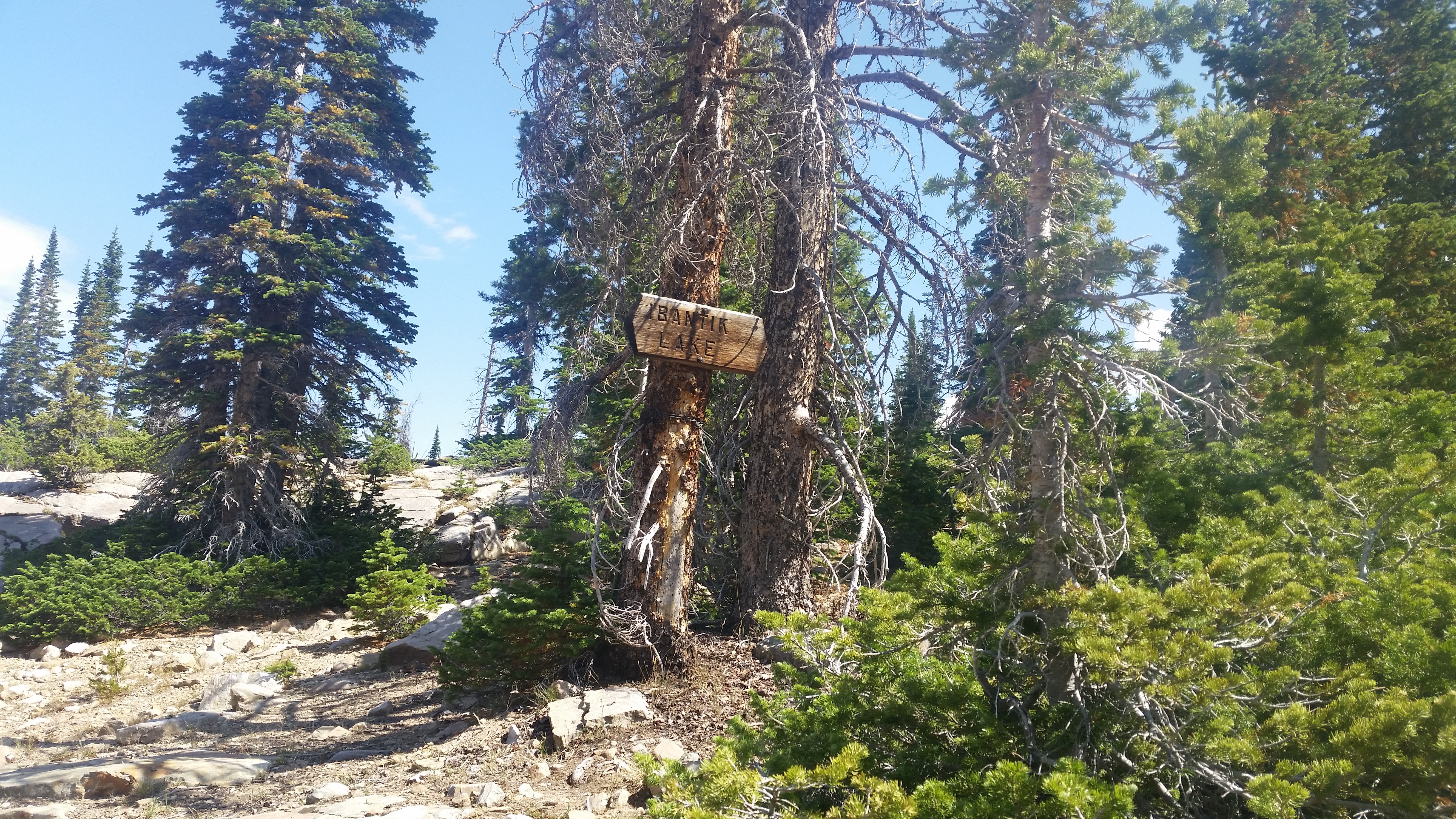 Snowbird – Utah · 2016